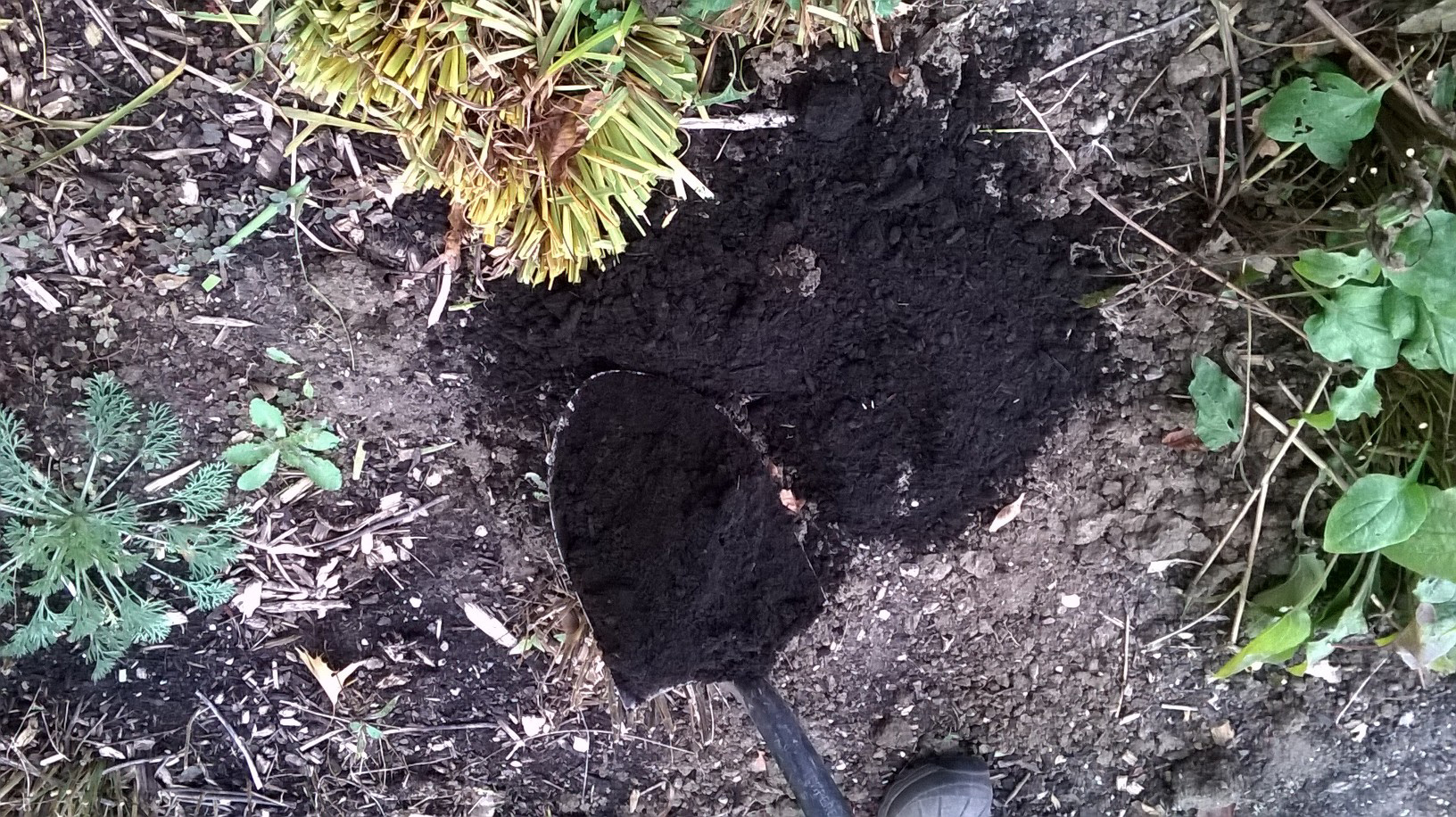 Wrapping Up the Flower Garden